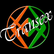 www.transexpescara.it